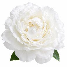 uploads/medium/6a33bc41b0431.jpg