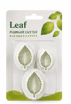 Tropical leaf