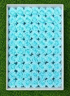 Roses Light blue